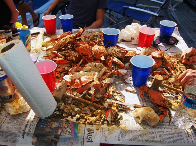 After bring eaten blue crab shells are susceptible to being scattered by scavengers, dissolved and etched by acidic soil, and fragmented into tiny pieces during decomposition and burial. Because they break into such tiny pieces anthropologists and others have long assumed that crabs were eaten rarely, if at all, by Native Americans or colonists in the Chesapeake Bay area. (Flicker photo by Barbara Clemens)