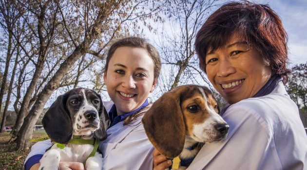 Jennifer Nagashima, SCBI doctoral fellow (right) and Nucharin Songsasen, SCBI scientist, hold two of the healthy domestic puppies born through in vitro fertilization. (Photo by Jeffery MacMillan)