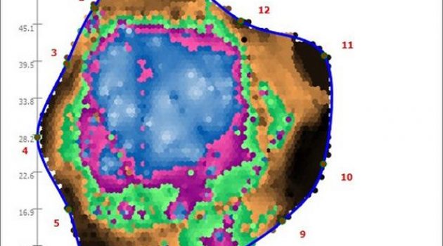 Tomogram showing areas of wood decay in a tree with an irregularly shaped trunk, based on sonic tomography with the PiCUS 3 Sonic Tomograph.